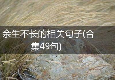 余生不长的相关句子(合集49句)