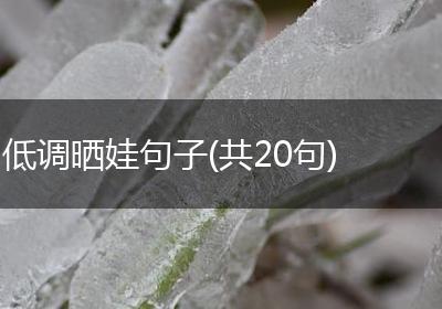 低调晒娃句子(共20句)