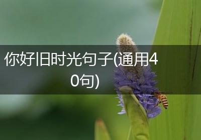 你好旧时光句子(通用40句)