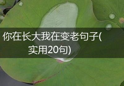 你在长大我在变老句子(实用20句)