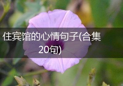 住宾馆的心情句子(合集20句)