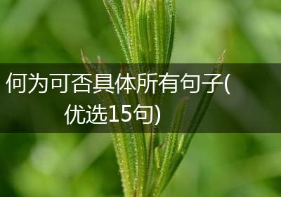 何为可否具体所有句子(优选15句)