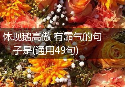 体现鹅高傲 有霸气的句子是(通用49句)