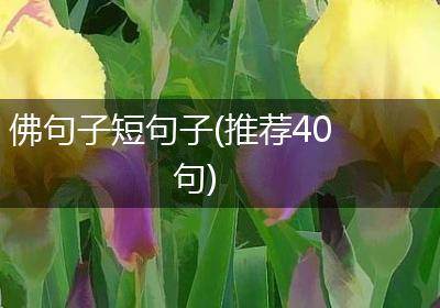 佛句子短句子(推荐40句)