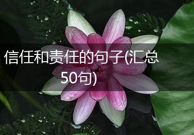 信任和责任的句子(汇总50句)