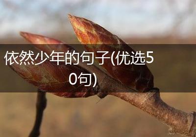 依然少年的句子(优选50句)