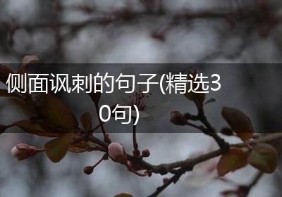 侧面讽刺的句子(精选30句)