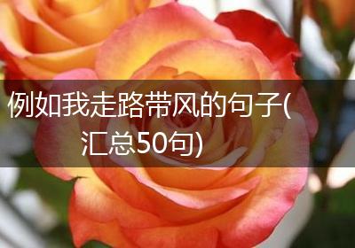 例如我走路带风的句子(汇总50句)