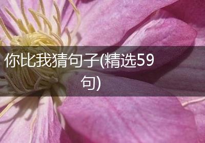你比我猜句子(精选59句)