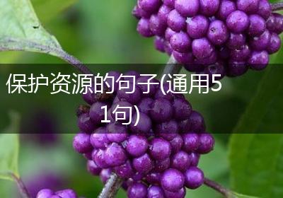 保护资源的句子(通用51句)