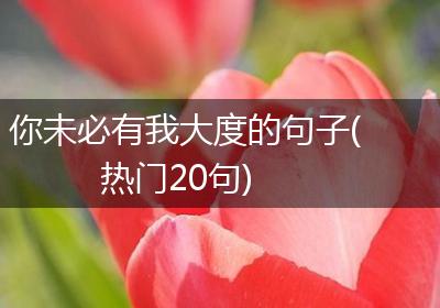 你未必有我大度的句子(热门20句)