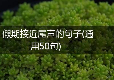 假期接近尾声的句子(通用50句)