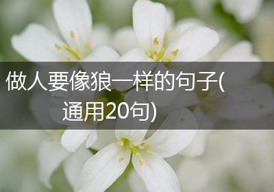 做人要像狼一样的句子(通用20句)