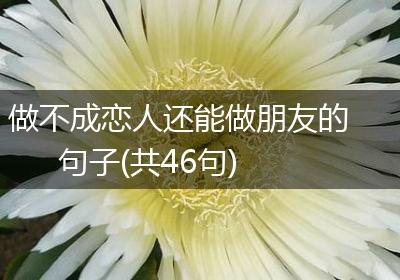 做不成恋人还能做朋友的句子(共46句)
