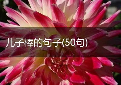 儿子棒的句子(50句)