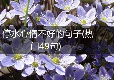 停水心情不好的句子(热门49句)