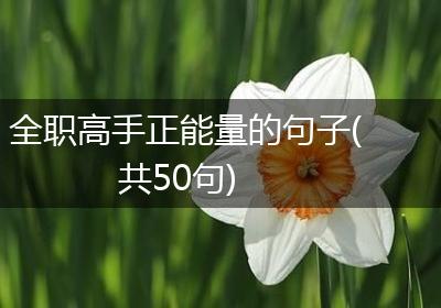 全职高手正能量的句子(共50句)
