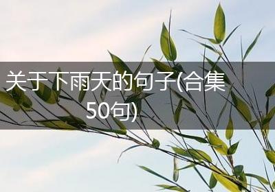 关于下雨天的句子(合集50句)