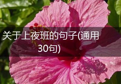 关于上夜班的句子(通用30句)
