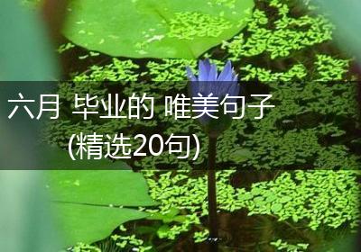 六月 毕业的 唯美句子(精选20句)
