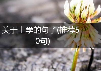 关于上学的句子(推荐50句)