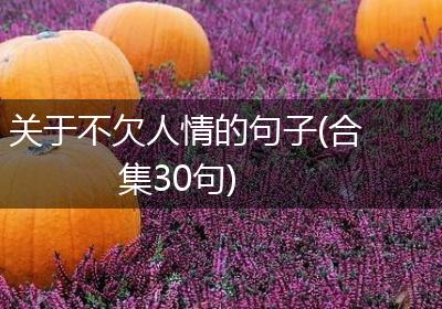 关于不欠人情的句子(合集30句)