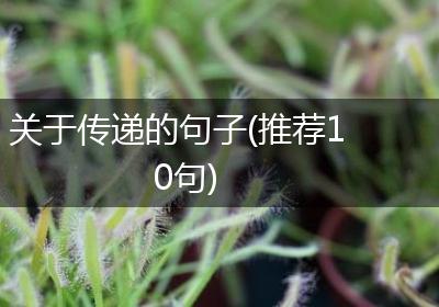 关于传递的句子(推荐10句)