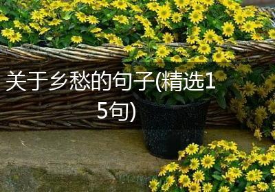 关于乡愁的句子(精选15句)
