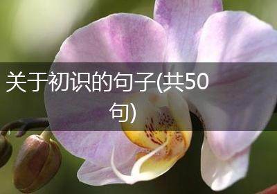 关于初识的句子(共50句)