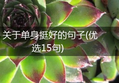 关于单身挺好的句子(优选15句)