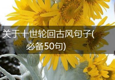 关于十世轮回古风句子(必备50句)