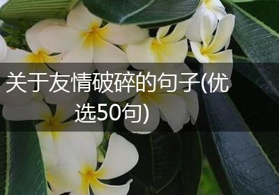 关于友情破碎的句子(优选50句)