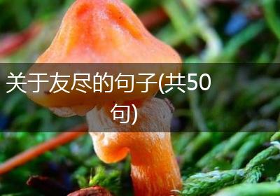 关于友尽的句子(共50句)