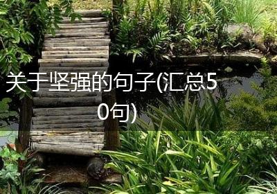 关于坚强的句子(汇总50句)