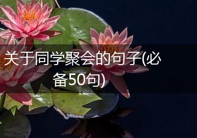 关于同学聚会的句子(必备50句)