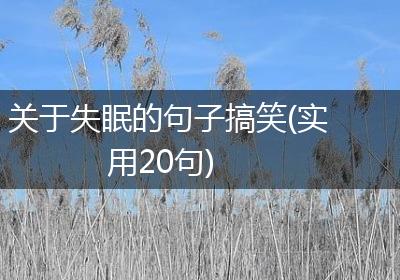 关于失眠的句子搞笑(实用20句)