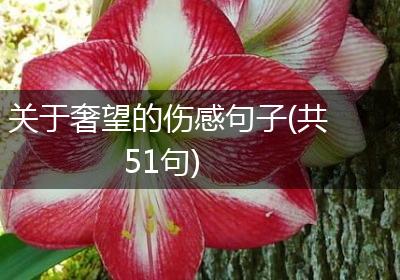关于奢望的伤感句子(共51句)