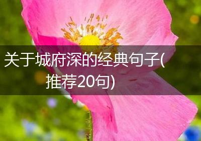 关于城府深的经典句子(推荐20句)