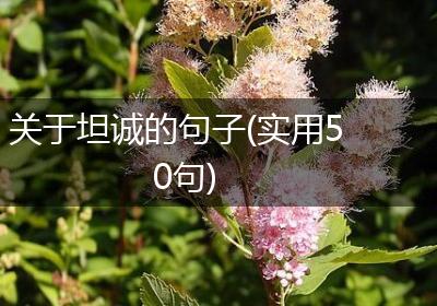 关于坦诚的句子(实用50句)