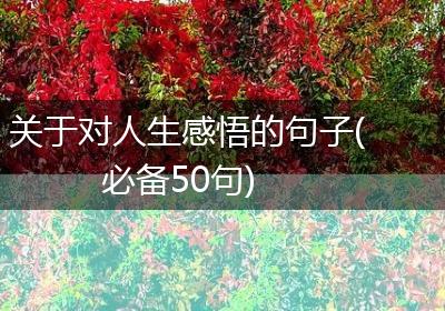 关于对人生感悟的句子(必备50句)
