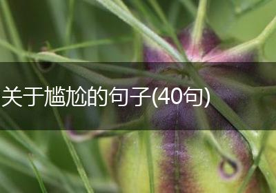 关于尴尬的句子(40句)