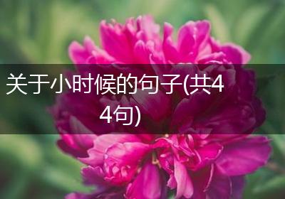 关于小时候的句子(共44句)