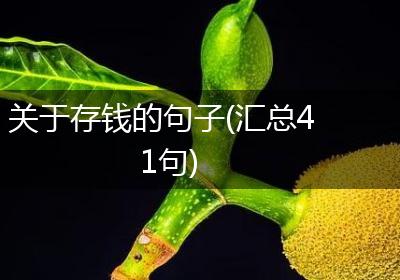 关于存钱的句子(汇总41句)