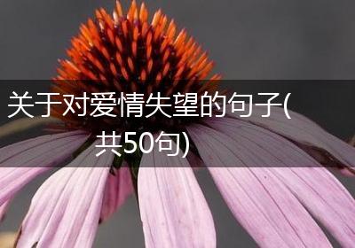 关于对爱情失望的句子(共50句)