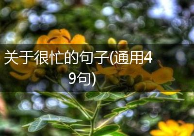 关于很忙的句子(通用49句)