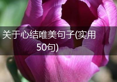 关于心结唯美句子(实用50句)