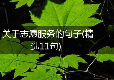 关于志愿服务的句子(精选11句)