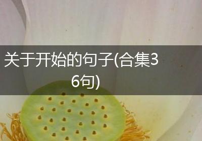 关于开始的句子(合集36句)