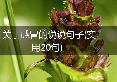 关于感冒的说说句子(实用20句)