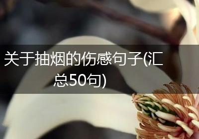 关于抽烟的伤感句子(汇总50句)